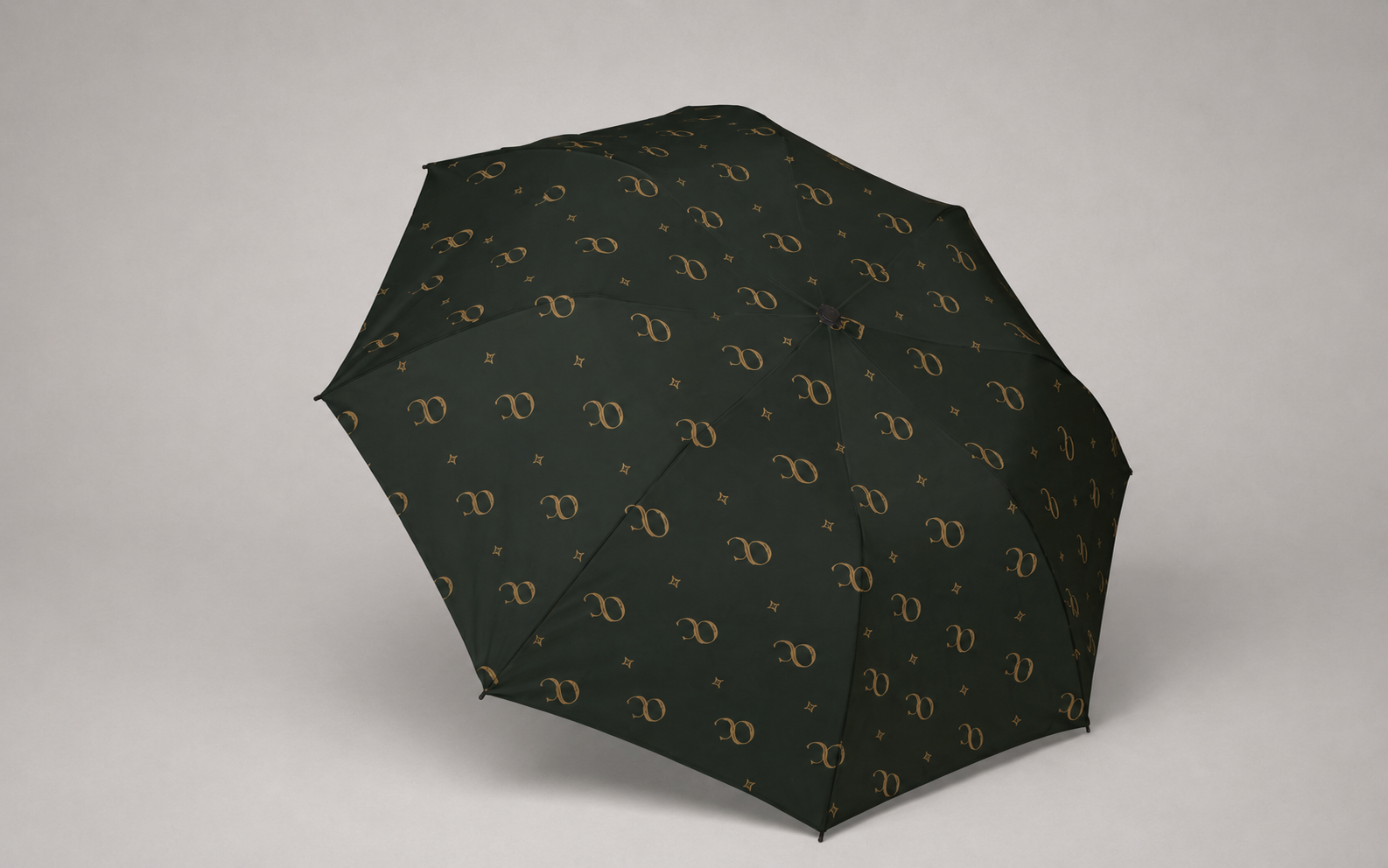 The Canopy Umbrella